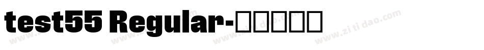 test55 Regular字体转换